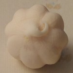marshmallow_citrouille_2